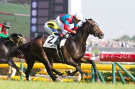 One and Only wins 81st Japanese Derby at Tokyo Racecourse