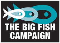 Big Fish Campaign